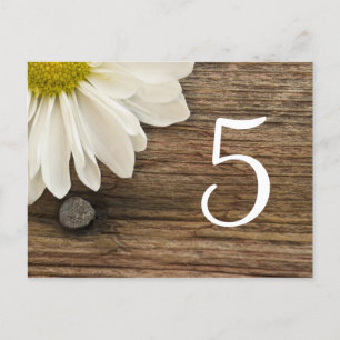 Vit Daisy Barn Wood Landsbyggsbröllop Bordsnummer