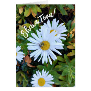 Vit Daisy blomma med Bee Rosh Hashanah Card Hälsningskort