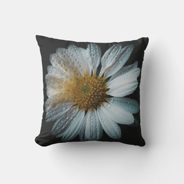 Vit Daisy blomma med droppar av Vatten Kudde (Framsida)