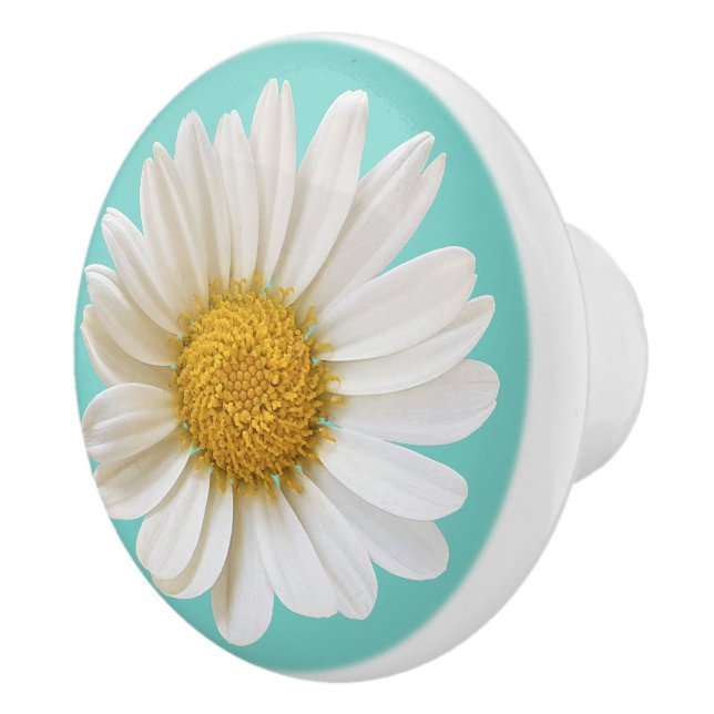 Vit Daisy blomma på ljusets baksida Knopp (Höger)