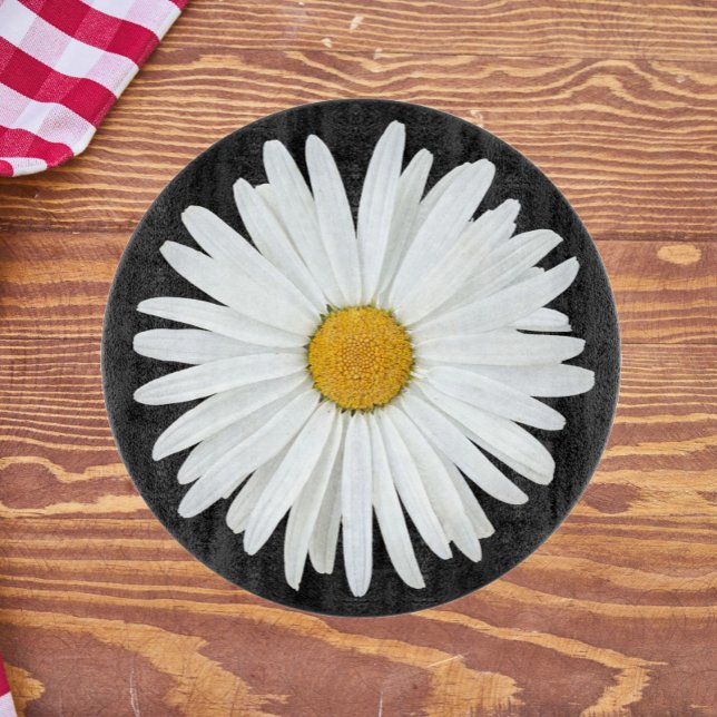 Vit Daisy blomma på svart Blommigt (In Situ)