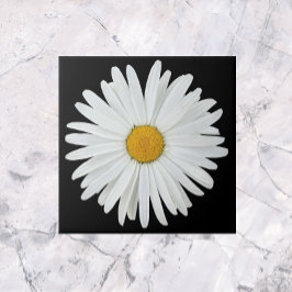 Vit Daisy blomma på svart Blommigt Kakelplatta