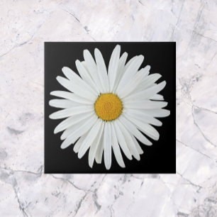 Vit Daisy blomma på svart Blommigt Kakelplatta