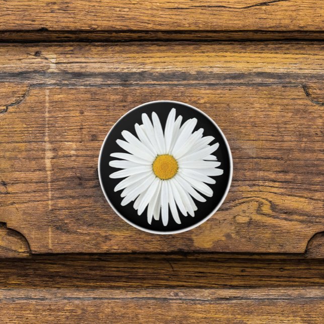 Vit Daisy blomma på svart Blommigt Knopp (In Situ)