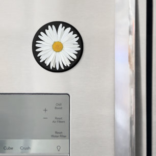 Vit Daisy blomma på svart Blommigt Magnet