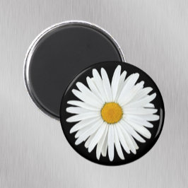 Vit Daisy blomma på svart Blommigt Magnet