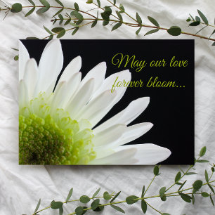 Vit Daisy blomma på Svarta Bröllop Inbjudningar
