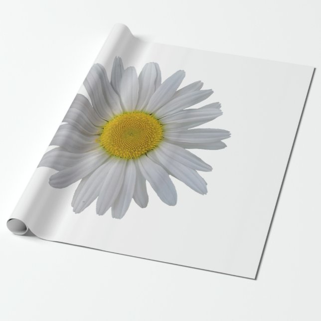 Vit daisy, daisy, blomning, blomning, blomma presentpapper (Utrullad)
