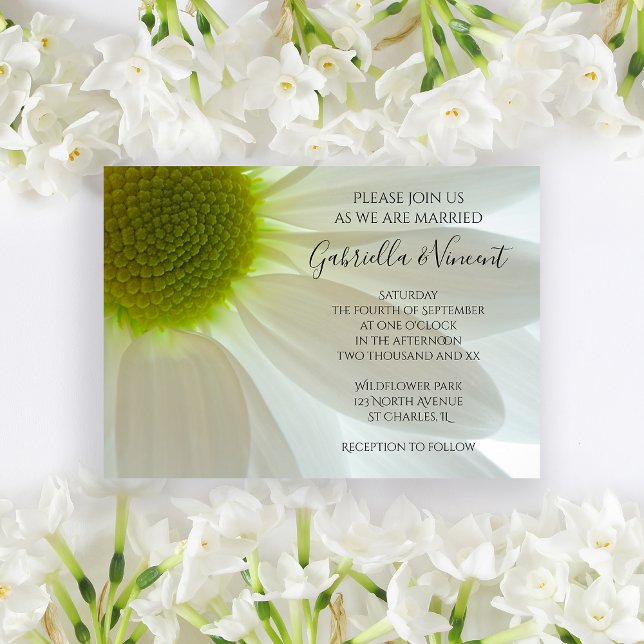 Vit Daisy Flower Petals Bröllop Inbjudningar (Invite guests to your summer marriage ceremony with the pretty White Daisy Petals Wedding Invitation)