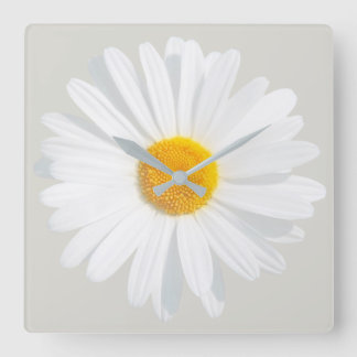 vit daisy fyrkantig klocka