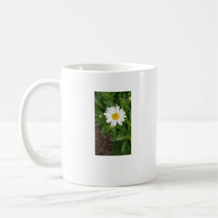 Vit Daisy Kaffe Mugg