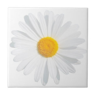 vit daisy kakelplatta