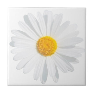 vit daisy kakelplatta