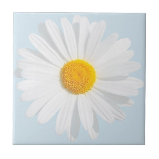 vit daisy kakelplatta