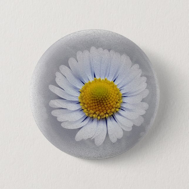 vit daisy knapp (Framsida)