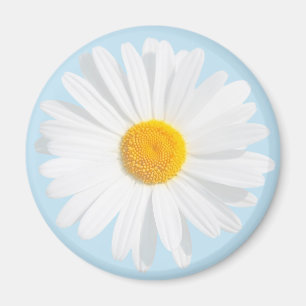 vit daisy magnet
