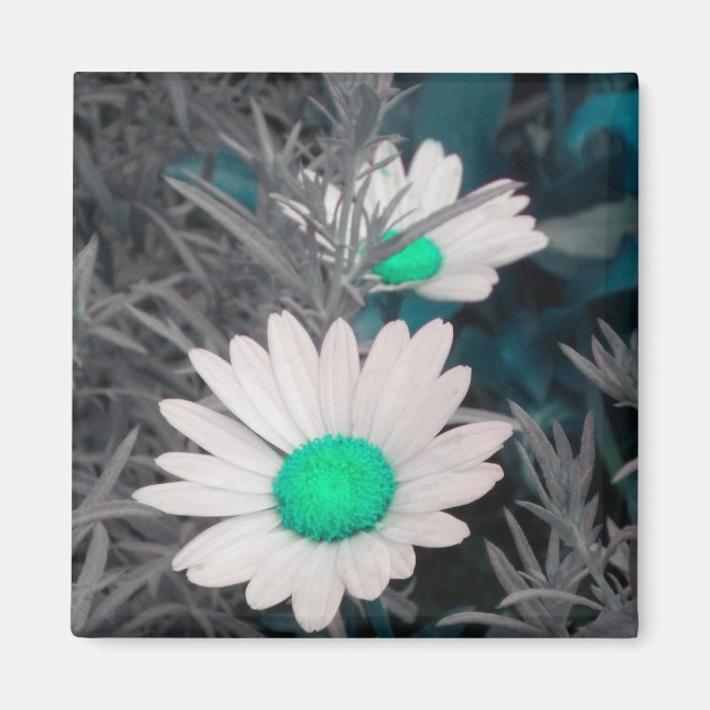 Vit Daisy (med Grönt) Magnet (Framsidan)