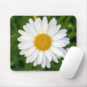 Vit Daisy Musmatta
