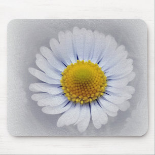 vit daisy musmatta