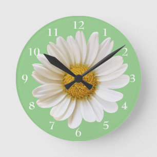 Vit Daisy på Blommigten Grönt Rund Klocka