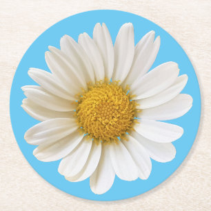 Vit Daisy på Skye Blue Background Underlägg Papper Rund