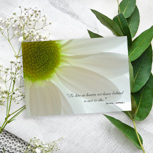 Vit Daisy Petals Tack för din sympati Kort