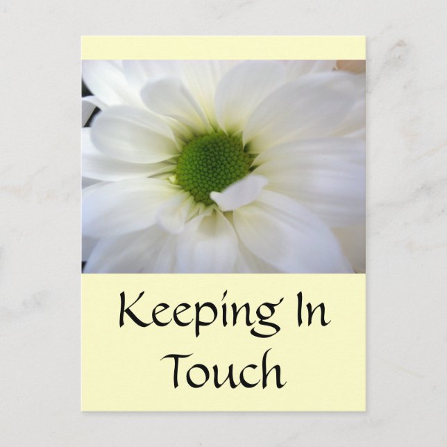 Vit Daisy Vykort (Framsida)