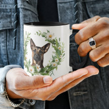 Vit Daisy Wandebelgiska Malinois Hund