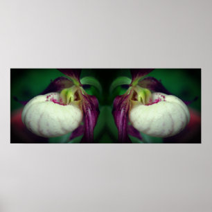 Vit Dam-haltig, fyrkantig blomma speglad Poster