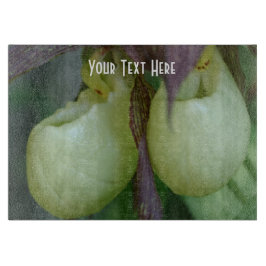 Vit Dam-sladd, orchid-blomma