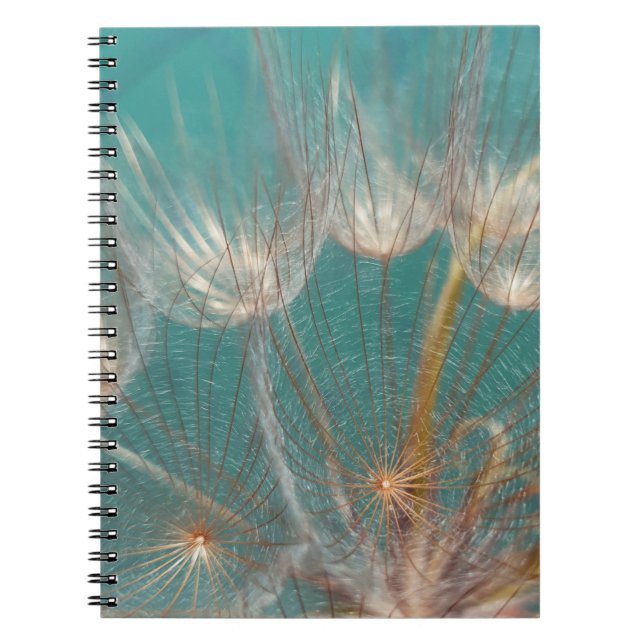Vit dandelion i nära fotografi anteckningsbok (Framsidan)
