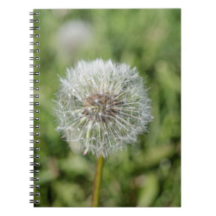 Vit dandelionblomma på grönt gräs anteckningsbok