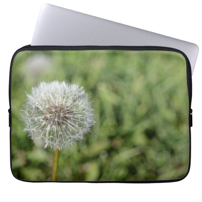 Vit dandelionblomma på grönt gräs laptop fodral (Framsidan)
