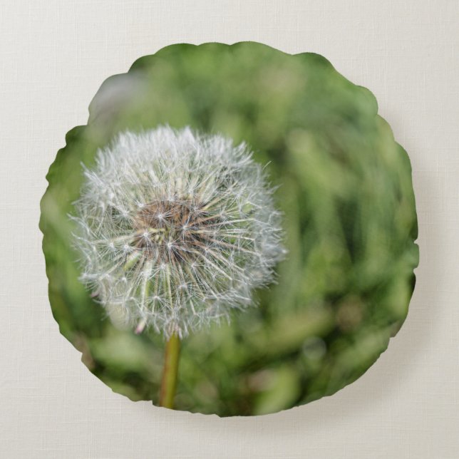 Vit dandelionblomma på grönt gräs rund kudde (Framsidan)