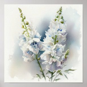 Vit Delphinium Blomma Konsttryck Poster