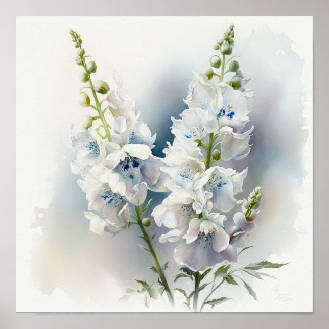 Vit Delphinium Blomma Konsttryck Poster (Framsidan)