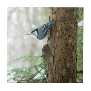 Vit den dekorativa gick mot nuthatchen belägger kakelplatta