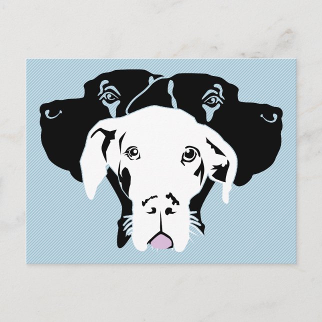 Vit Dogge Vykort (Framsida)
