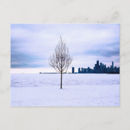 Vit dröm - vintern i Chicago, vykort