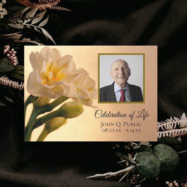 Vit Dubbla Daffodils Flowers Firande Life Inbjudningar (Skapare uppladdad)