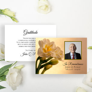 Vit Dubbla Daffodils Funeral Sympathy Tack Kort