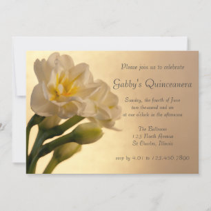 Vit Dubbla Daffodils Quinceanera-inbjudan Inbjudningar