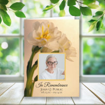 Vit Dubbla-skiffodils begravningstjänst i vikt