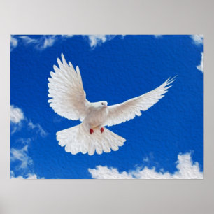 Vit duva under flygning poster