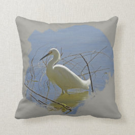 Vit Egret Photo Elegant Bird Lugn Vatten Natature Kudde