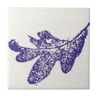 Vit ekbeskaffenhet skrivs ut i blå bricka. kakelplatta