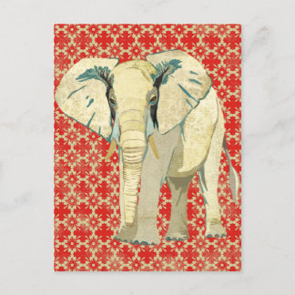 Vit Elephant-vykort Vykort