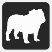 Vit engelsk bulldogg Siluett