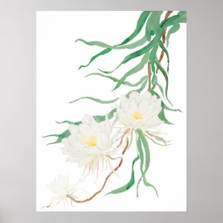 vit epifylumblomma Poster vattenfärg