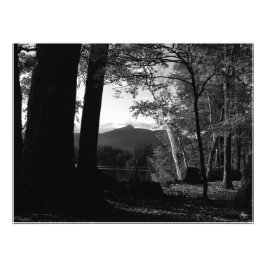 Vit fågel i en Chocorua Sunset Open Edit. Skriv Fototryck